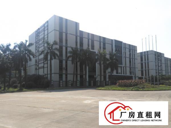 
龙岗同乐工业区，标准厂房一楼800平6.5米高