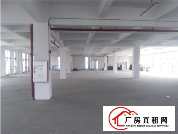 
龙岗同乐工业区，标准厂房一楼800平6.5米高