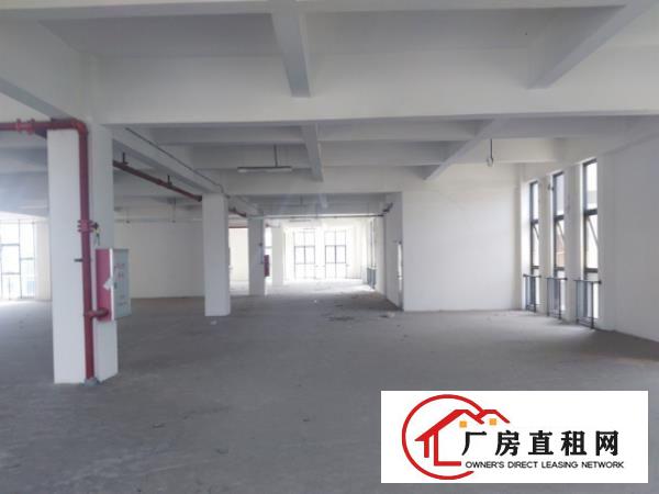 
龙岗同乐工业区，标准厂房一楼800平6.5米高