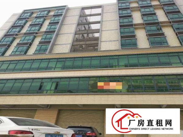 
公寓房福利！坪地新出独栋靓厂房可做公寓！合同十年