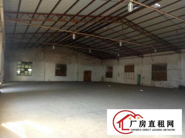 
龙岗坪地新出2600平独院钢构厂房滴水高6米
