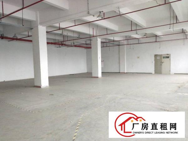 
龙岗富地岗高速路口原房东厂房出租1280平无公摊