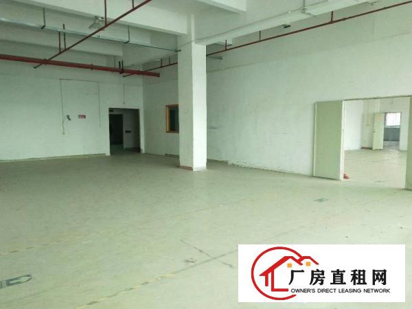
龙岗富地岗高速路口原房东厂房出租1280平无公摊