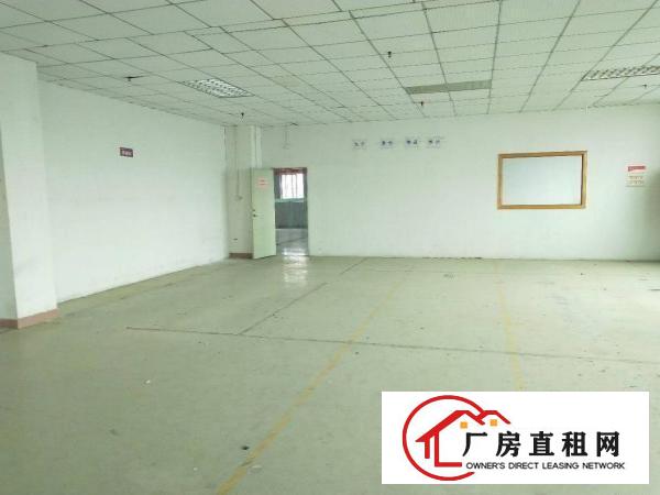 
龙岗富地岗高速路口原房东厂房出租1280平无公摊