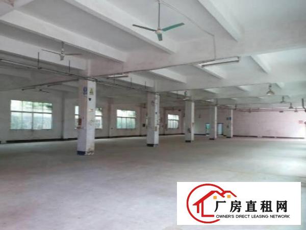 
龙岗坪地独院厂房2600平方形象