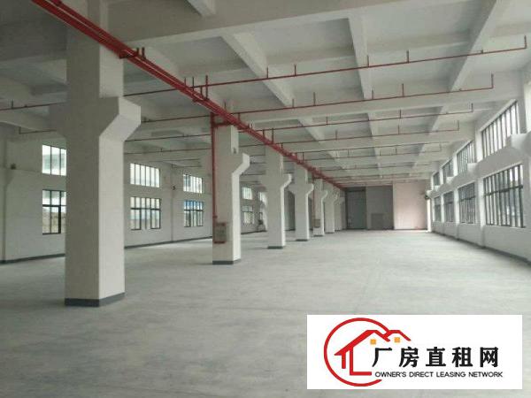 
龙岗坪地150000平红本厂房，享高新补，可分租