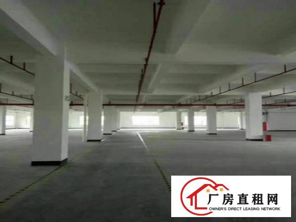 
龙岗坪地新出1楼1000平厂房出租