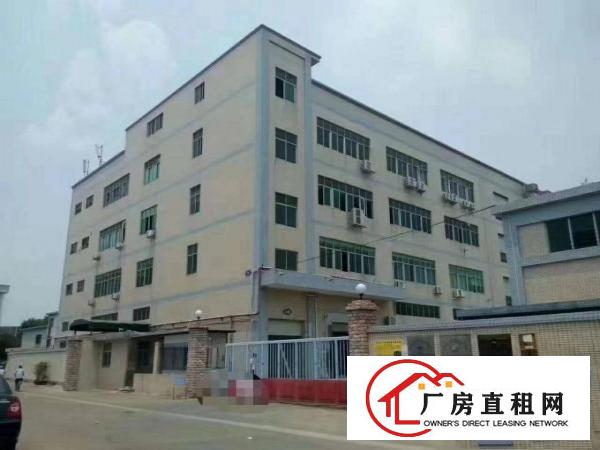 
坪低中心村新出楼上带装修厂房1250平米