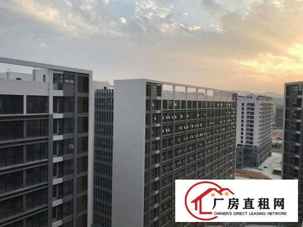 
龙岗全新独院厂房招租，大小任意分租。