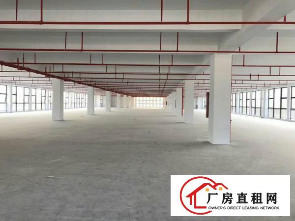 
龙岗全新独院厂房招租，大小任意分租。
