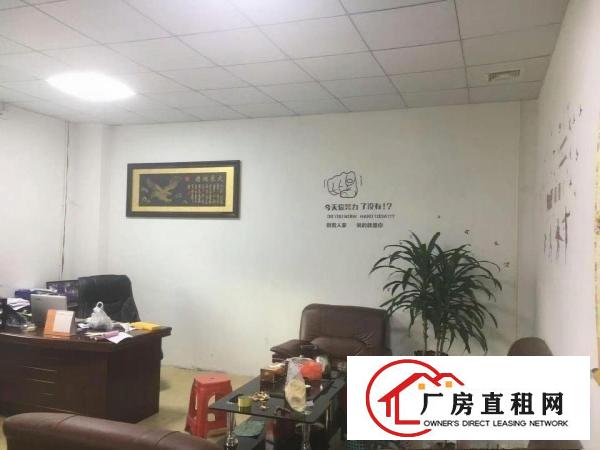 
急坪地坪西北通道原房东独门独院厂房6600可分租
