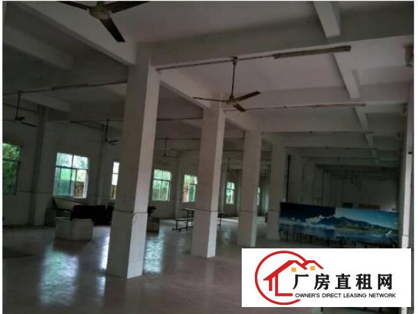 
坪地坪西工业区一楼1000平厂房层高5.2米