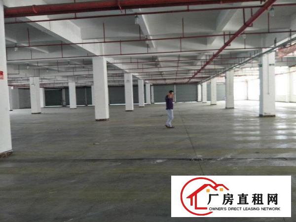 
龙岗坪地一楼2000平带装修，高度六米