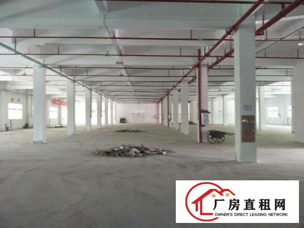 
龙岗坪地一楼2000平带装修，高度六米