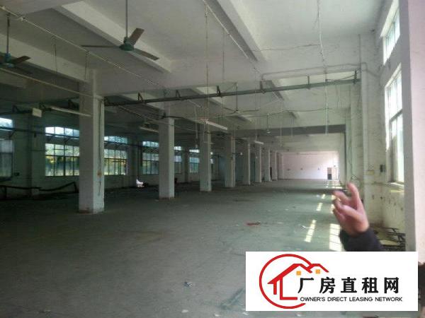 
坪地独院标准厂房15000平，一楼高6米
