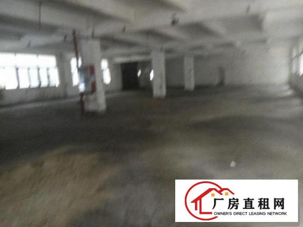 
坪地中心村独栋标准一楼1880平