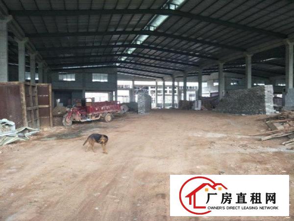 
龙岗坪地工业园5000平钢构大小分租