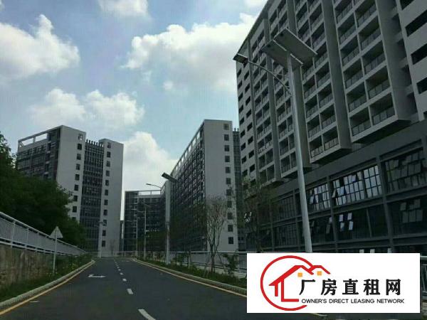 
龙岗坪地新建红本厂房15万平米出租