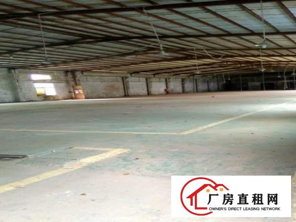 
坪地2000平米原房东独院钢构厂房出租