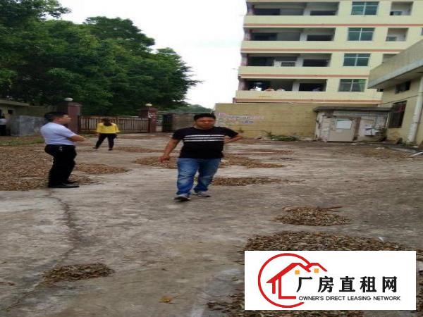 
坪地2000平米原房东独院钢构厂房出租