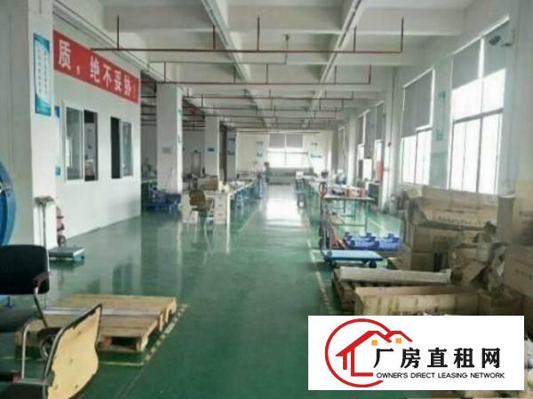 
龙岗坪地高桥大工业园内1980平，有办公室有地坪