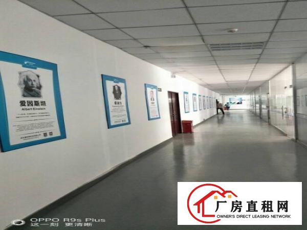 
低碳城工业园区分租约2000平方