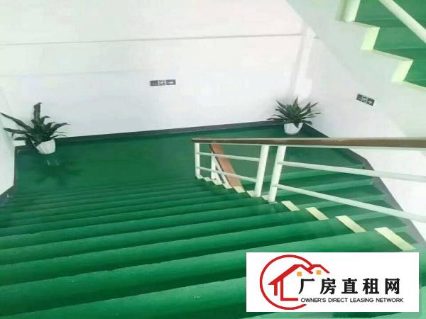 
坪地无尘车间2000平方配装修办公区出租