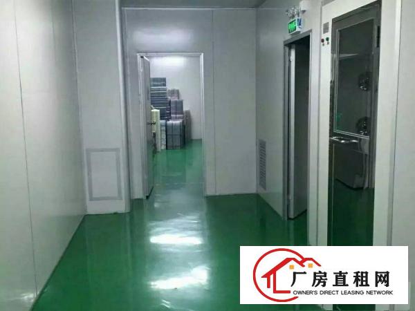
坪地无尘车间2000平方配装修办公区出租
