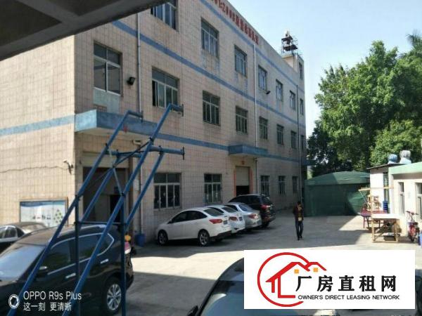 
邻近新生带装修厂房1楼2楼每层1300平方出租