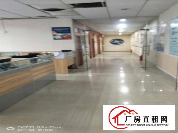 
邻近新生带装修厂房1楼2楼每层1300平方出租