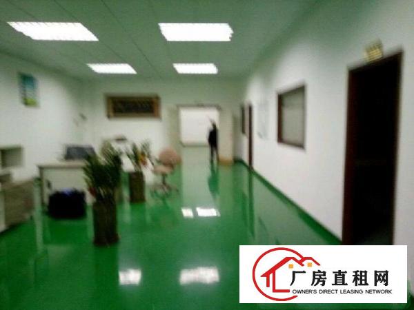 
布吉丹竹头地铁站附近新出厂房1300平米出租