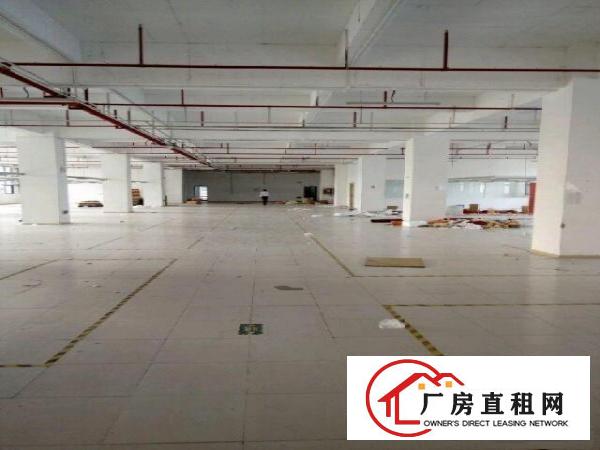 
布吉丹竹头丹平快速或物流园附近高新科厂房2000平米