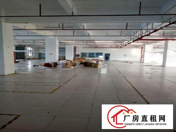
布吉丹竹头丹平快速或物流园附近高新科厂房2000平米