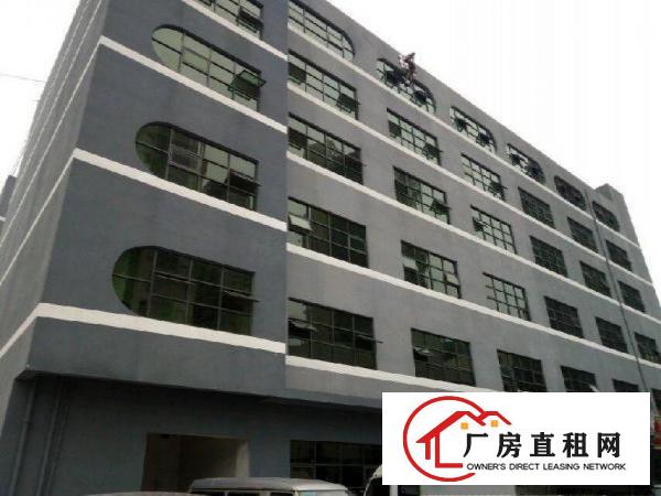 
布吉大芬地铁站或百门前电商厂房精装修100平米出租