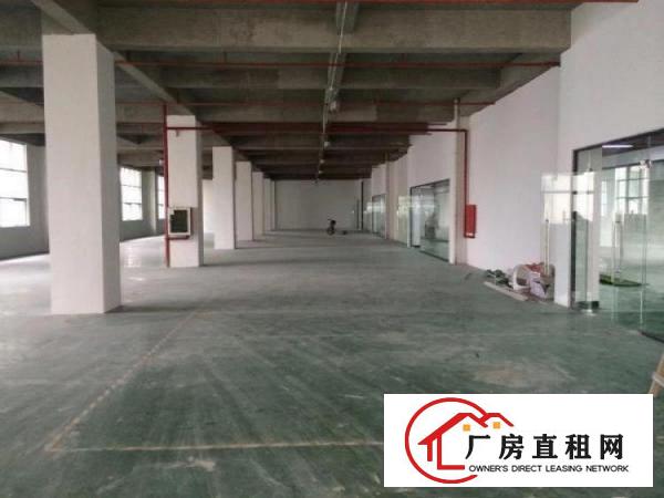 
康桥100平200平300平500平厂房仓库