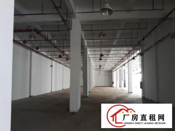 
我司厂房整体出租，厂房3500 钢构1800