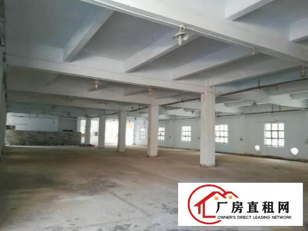 
水官高速附近独院厂房一楼800平方出租