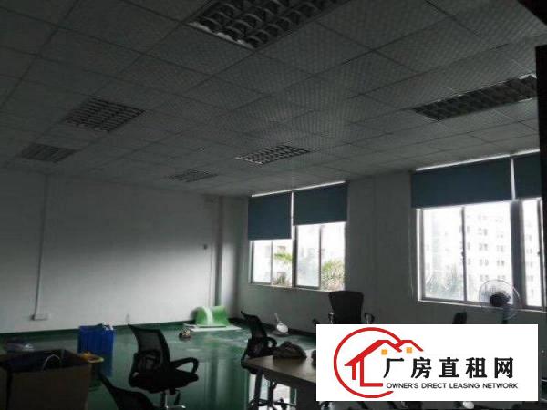 
布吉丹竹头地铁站精装修电商厂房200平米出租