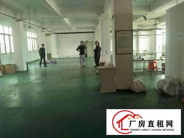 
龙岗布吉木绵湾主干道边2960平米