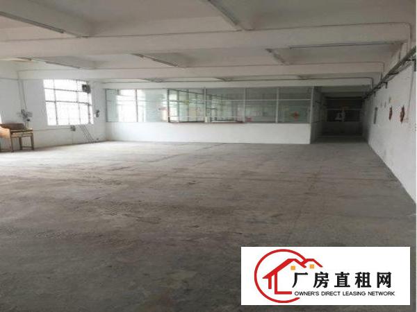 
横岗大康工业区厂房仓库办公室五百平方低价出租可分租