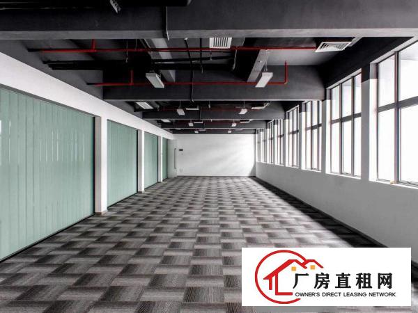 
木棉湾100平200平300平500平产业园