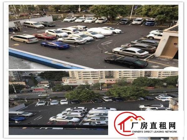
木棉湾100平200平300平500平产业园