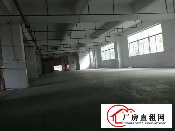 
布澜路路旁一楼厂房2600平米出租