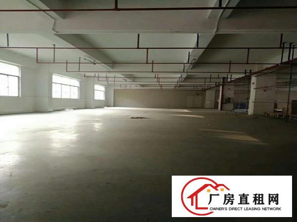 
布澜路路旁一楼厂房2600平米出租