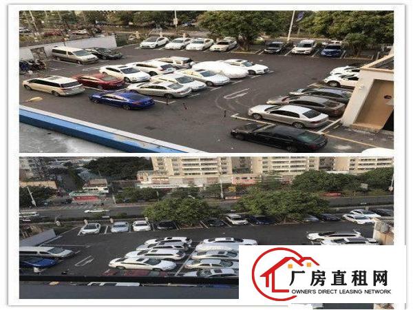 
大芬98㎡~113㎡~134㎡~202㎡~288㎡~307㎡