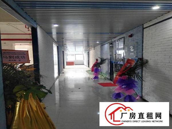 
大芬98㎡~113㎡~134㎡~202㎡~288㎡~307㎡