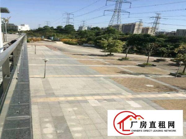 
布吉中心区红本厂房128000平米低价出租