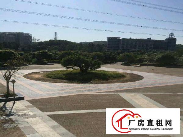 
布吉中心区红本厂房128000平米低价出租