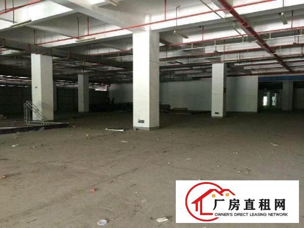 
布吉中心区红本厂房128000平米低价出租