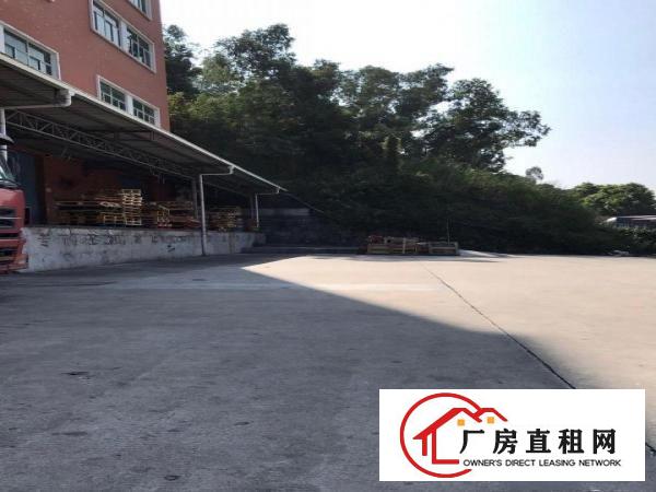 
丹竹头300平，可进大货车，龙岗大道马路边厂房